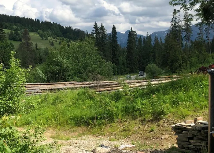 Apartament Z Widokiem Na Las